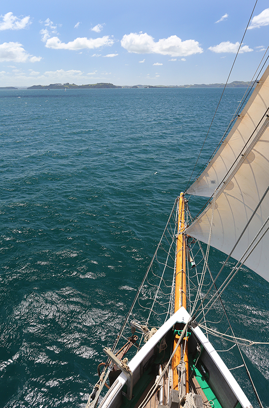 Sail on the R Tucker Thompson, Bay of Islands, NZ